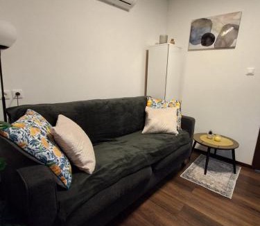 Sracinec Apartment | Apartment Allapera