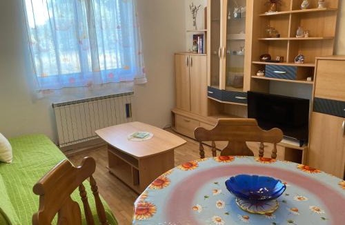Đuba Apartment | Apartment Božana 1