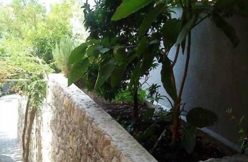 Bili brig Apartment | Apartment Bor - with great view: SA2(2)Levant - Makarska, Riviera Makarska, Croatia