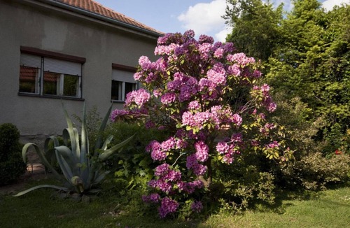 Krizevci Apartment | Apartment Branka - colorful: R2(1) - Krizevci, Continental Croati, Croatia