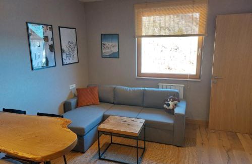 Jahorina Apartment | Apartment C519 - Aparthotel Vučko - Private Host