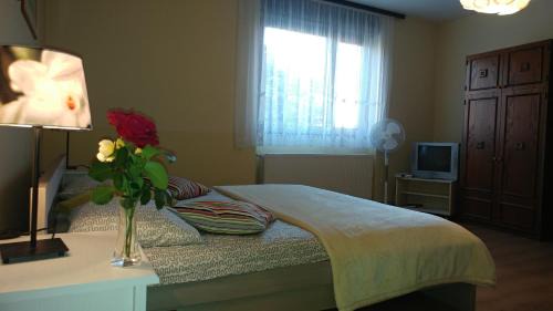 Koprivnica House | Apartment Cecilia Koprivnica