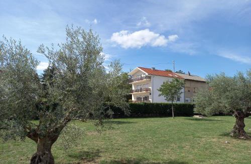 Cove Parja Apartment | Apartment Central