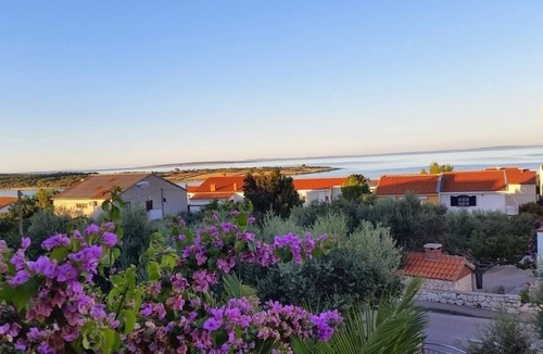 Novalja Apartment | Apartment Cherry - relax & chill by the pool: R1(2) - Novalja, Island Pag, Croatia