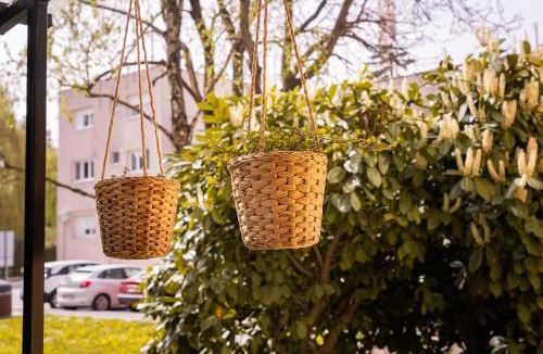 Krizevci Apartment | Apartment City Cat