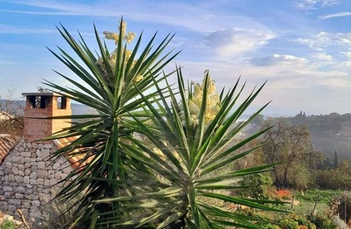Zman Apartment | Apartment Darka - free parking A1 Mali(2+1) - Zman, Island Dugi otok, Croatia