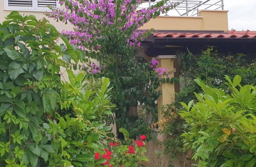 Cove Osibova (Milna) Apartment | Apartment Deni (41771-A1) - Milna - island Brac