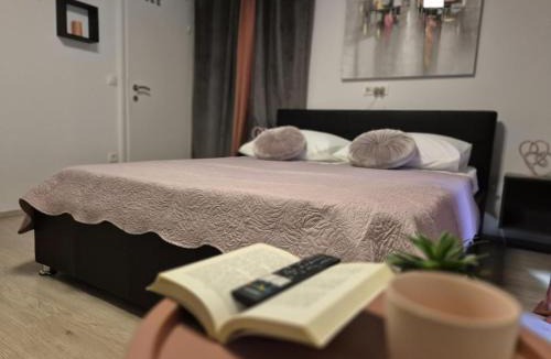 Batinici Apartment | Apartment Dora
