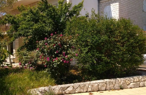 Okrug Gornji Apartment | Apartment Filip - with parking : SA4-3B(2+1) - Okrug Gornji, Island Ciovo, Croatia