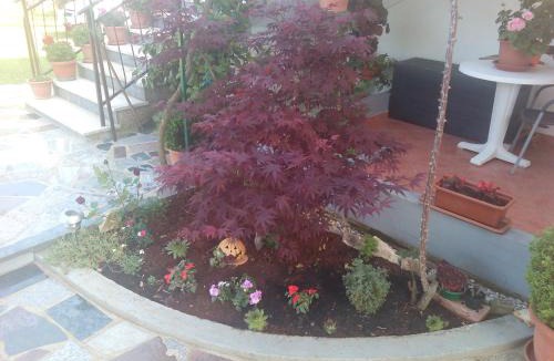 Umag Apartment | Apartment Gogo