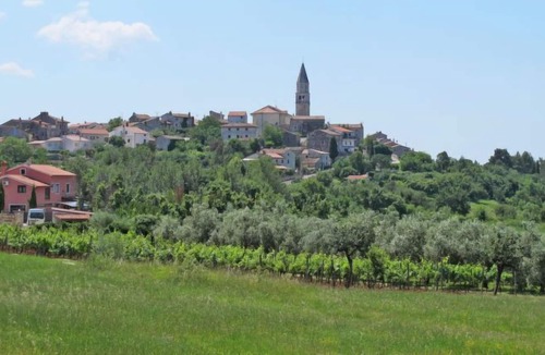 Kastelir Apartment | Apartment Gortan (KST100) in Porec/Kastelir - 2 persons, 1 bedrooms