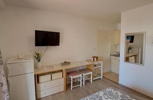Milcetici Apartment | Apartment Helena