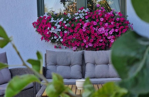 Feliceni Apartment | Apartment House Lányi Apartmanház
