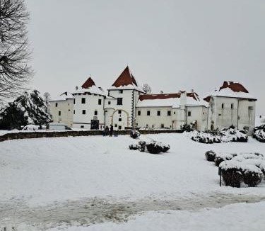 Varazdin Apartment | Apartment in the city center