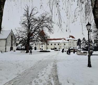 Varazdin Apartment | Apartment in the city center