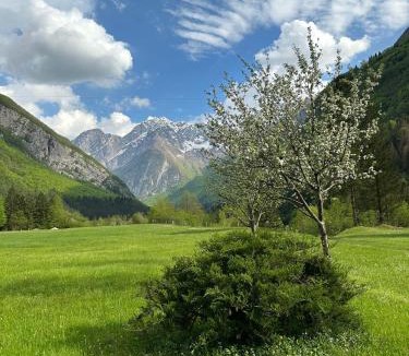 Bovec Apartment | Apartment Joži