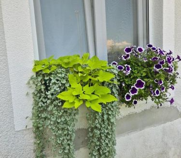 Trilj Apartment | Apartment Ksenija 2 rooms, 55m2 brand-new, Floor heating, Air conditioning