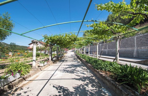 Skradin Apartment | Apartment Luka (87821-A2) - Rupe