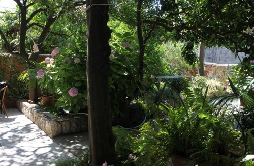 Cavtat Old Town Apartment | Apartment Milu - 80 m from sea: - Cavtat, Riviera Dubrovnik, Croatia