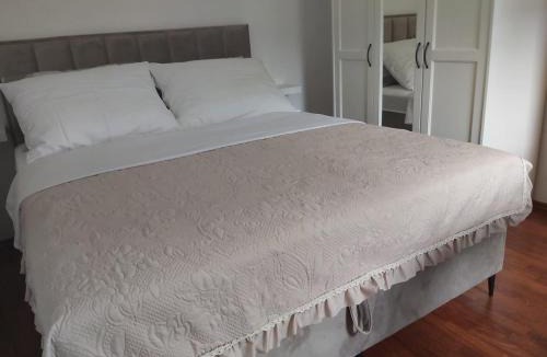 Rtina Apartment | Apartment Misic