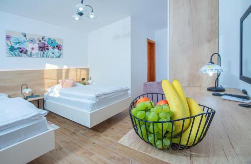 Varazdinske Toplice Apartment | Apartment & rooms Vila Toplissa