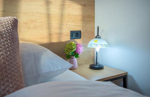 Varazdinske Toplice Apartment | Apartment & rooms Vila Toplissa