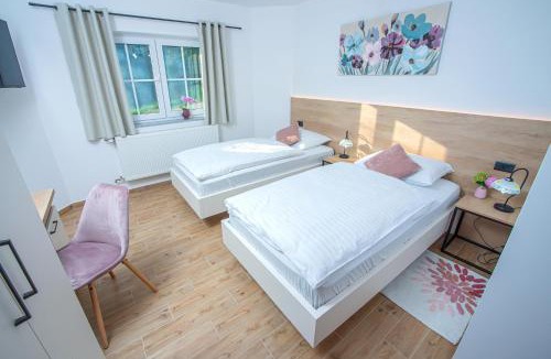 Varazdinske Toplice Apartment | Apartment & rooms Vila Toplissa