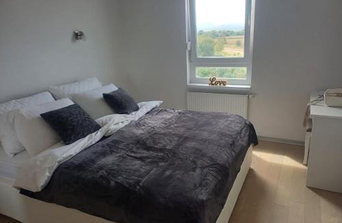 Varazdin Apartment | Apartment Rosa