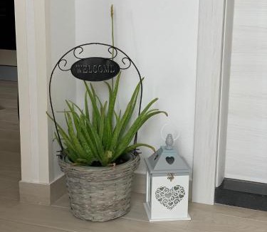 Trogir Apartment | Apartment Salov