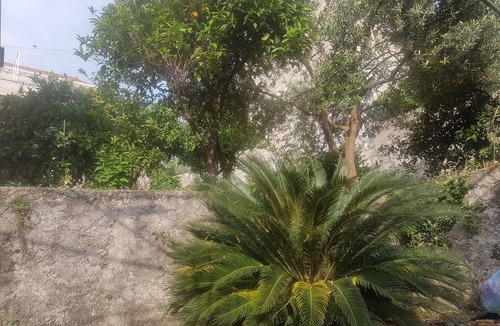 Cavtat Old Town Apartment | Apartment Saul