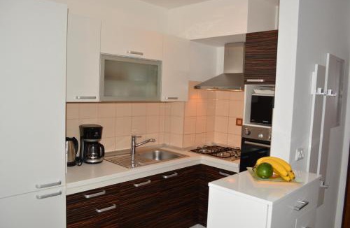 Istok Apartment | Apartment Sopta