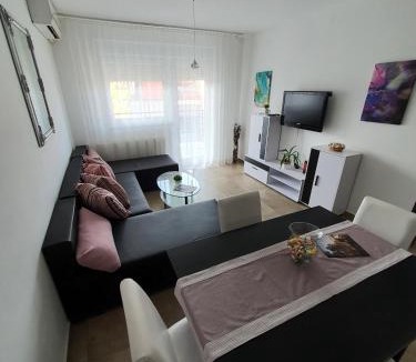Sveti Martin na Muri Apartment | Apartment Vesna Toplice Sveti Martin
