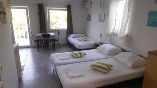 Island Dugi Otok Apartment | Apartment Viktor