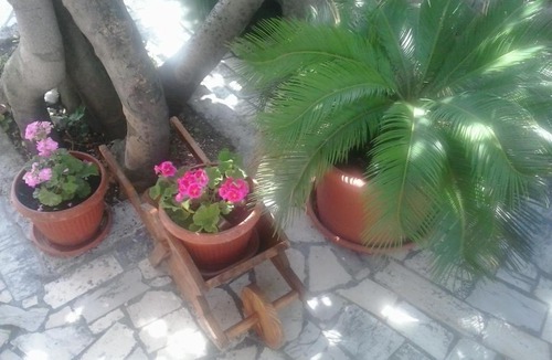 Bribir Apartment | Apartment Zeljka