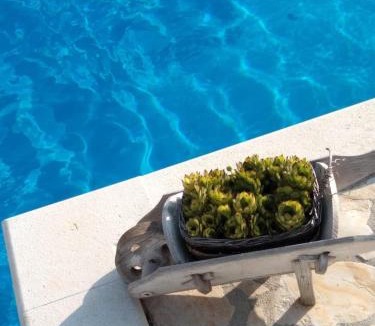 Ruzic Villa | APARTMENTS ANA