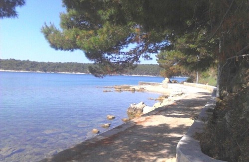 Palit Apartment | Apartments and rooms Josipa, (14597), Palit, hr