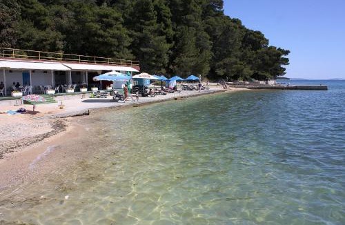 Palit House | Apartments and rooms with parking space Palit, Rab - 5061