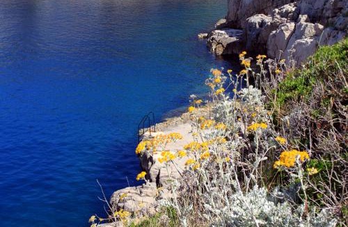 Veli Losinj Apartment | Apartments by the sea Veli Losinj - 24542