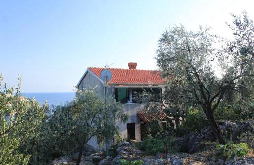 Molunat Apartment | Apartments by the sea Molunat - Dubrovnik - 8550