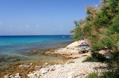 Muline Apartment | Apartments by the sea Susica, Ugljan - 841