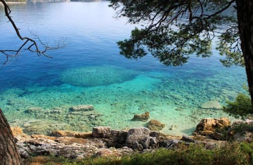 Ubli Apartment | Apartments by the sea Ubli, Lastovo - 8354