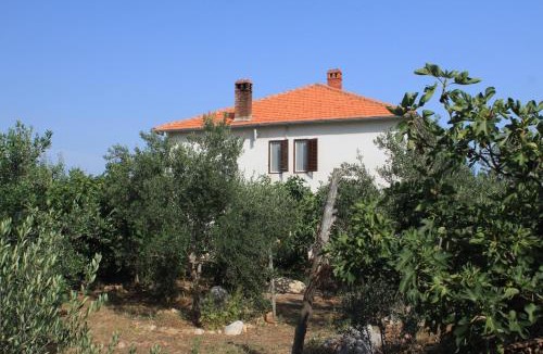Ugljan Apartment | Apartments by the sea Ugljan - 8264