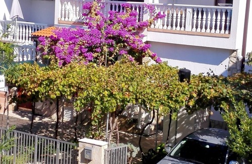 Susica Apartment | Apartments Dobrica, (14446), Privlaka, hr