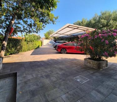 Sukosan Apartment | Apartments Gasparovic