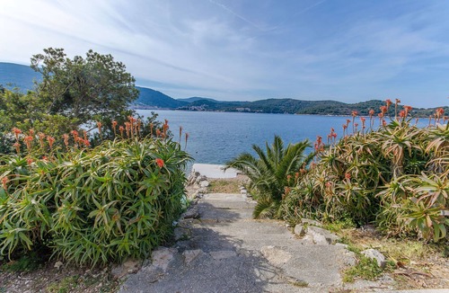 Vis Apartment | Apartments Ivanka (40901-A2) - Vis - island Vis
