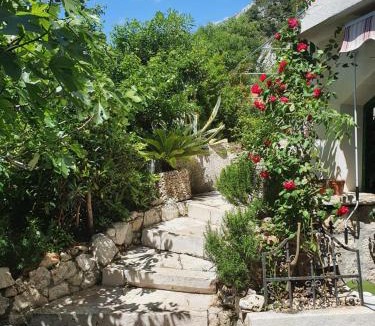 Drasnice Apartment | Apartments Jerković Drašnice-3bd