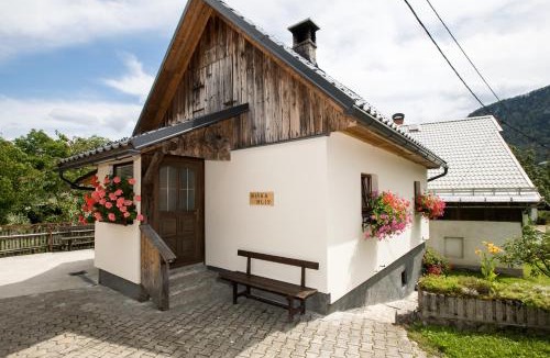 Srednja Vas v Bohinju Apartment | Apartments Kocjanc