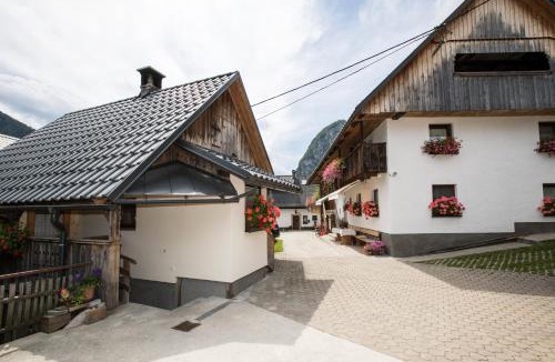 Srednja Vas v Bohinju Apartment | Apartments Kocjanc