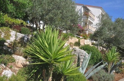 Pasadur Apartment | Apartments Ljiljana, (16038), Pasadur, hr