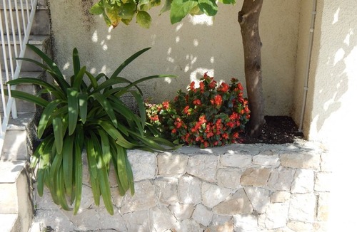 Babin Kuk Apartment | Apartments Lucija - One Bedroom Apartment with Terrace